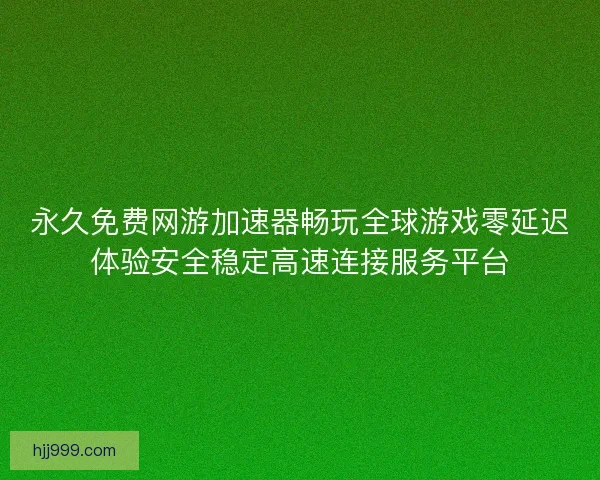永久免费网游加速器畅玩全球游戏零延迟体验安全稳定高速连接服务平台