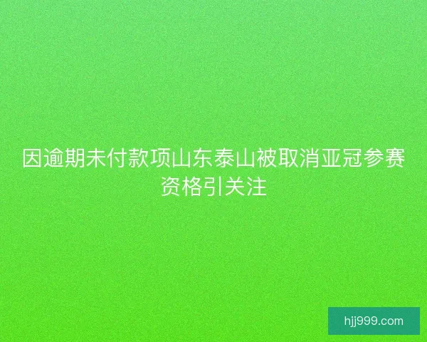 因逾期未付款项山东泰山被取消亚冠参赛资格引关注